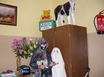 LATO 2009 W BIBLIOTECE - Filia w Krlikowie